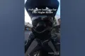 Night Rider Arrested, What Happened To Night Rider?